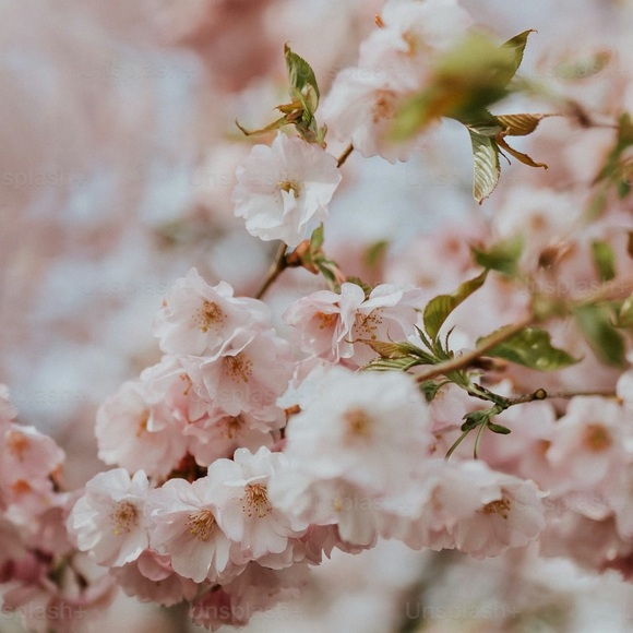 Hello everyone!! ☺️ - Picture 1 of 1